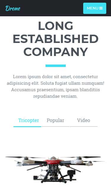 智能负载均衡的在线呼叫网页版